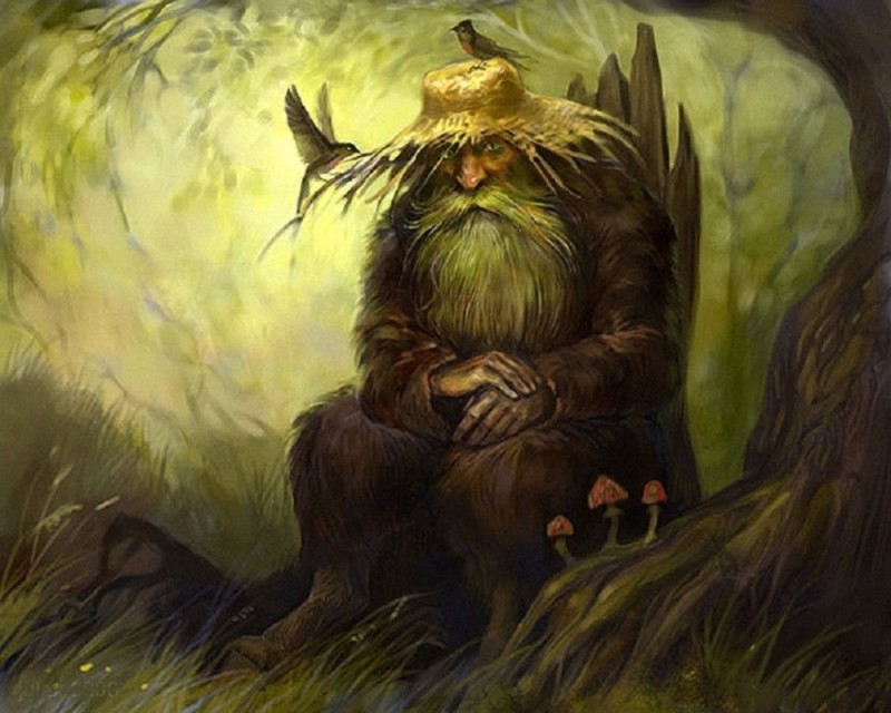 Create meme: Slavic mythology lesovik, the image of the goblin, grandfather lesovik Slavic mythology