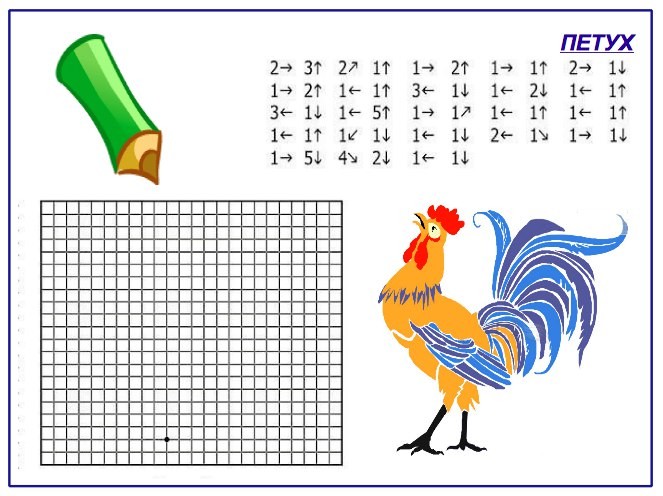 Как нарисовать петуха в клетку