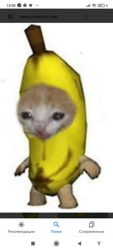 Create meme: I'm a banana, a crying cat in a banana costume, banana 