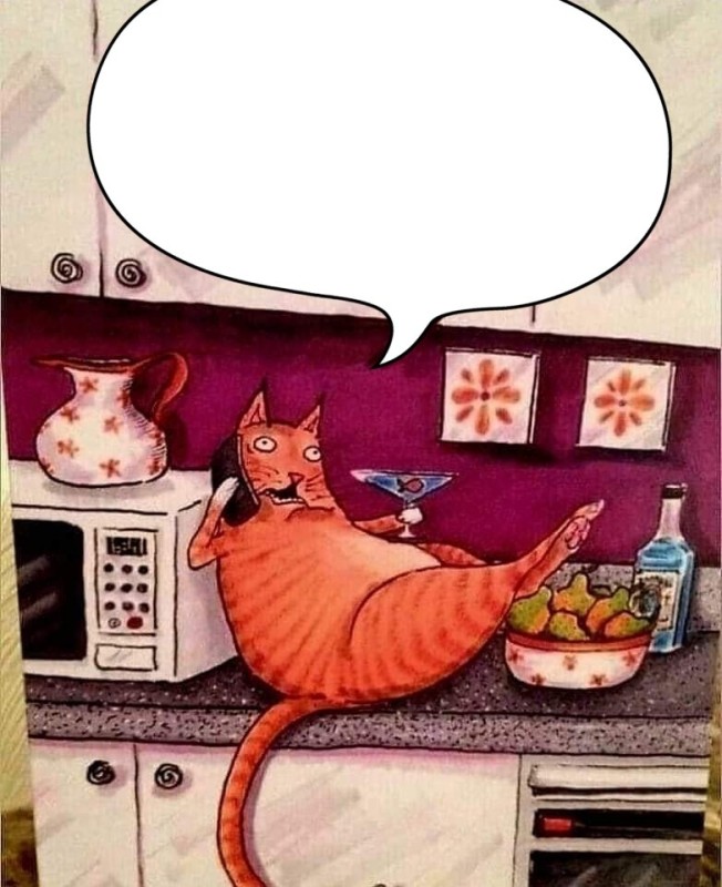 Create meme: cat in the kitchen, The cat is rattling in the kitchen, crazy cat caricature