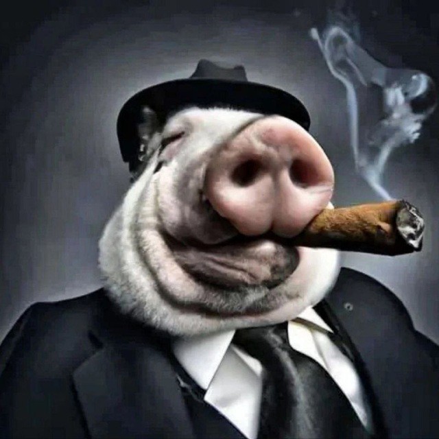 Create meme: pig with a cigarette, cool pig, jay pig bond