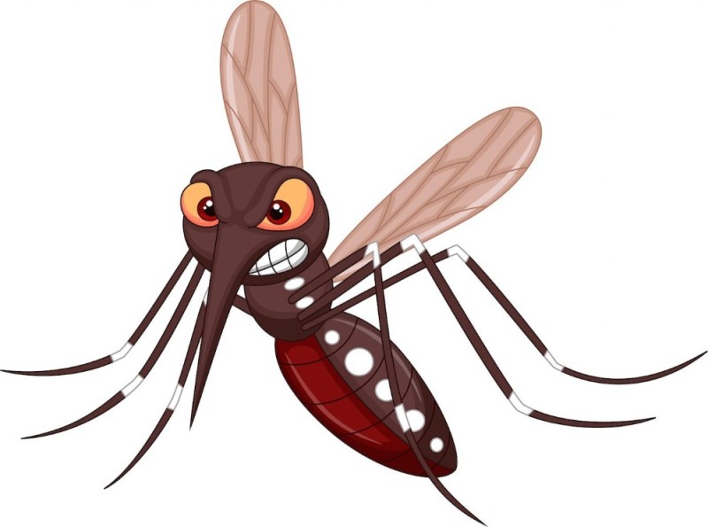 Создать мем: мультяшный комар, комарик мультяшный, комар