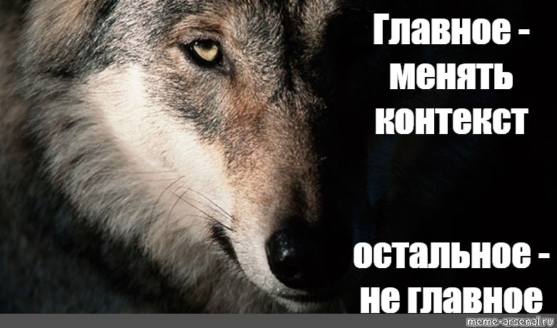 Волк обиделась. Волчьи мемы. Мемы с волками. Серый волк Мем. Волчица Мем.