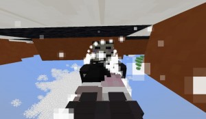 Create meme: minecraft, game, screenshot