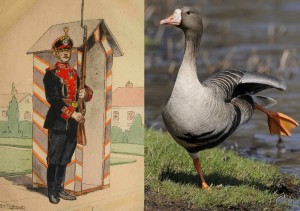 Create meme: goose standard, goose gigaton, goose 3D