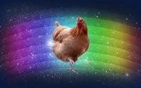 Create meme: chicken meme, fun, meme fun