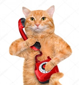 Создать мем: кот звонит, кот с телефоном, кошка с телефоном