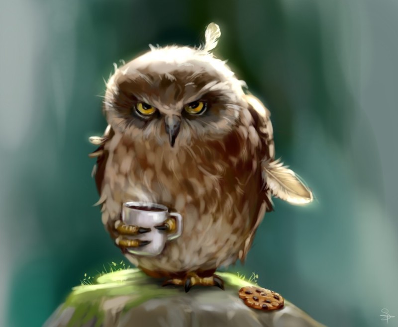 Create meme: Good morning owl, angry owl, funny owls