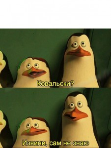 Create meme: penguin cartoon disney, penguin, Madagascar Kowalski