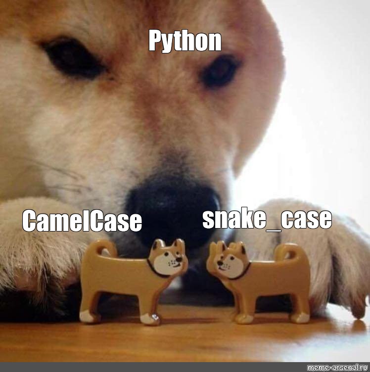 meme-python-snake-case-camelcase-all-templates-meme-arsenal