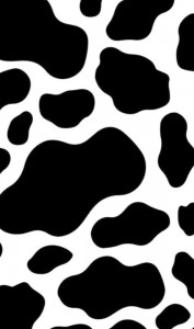 Create meme: cow background, spots cows