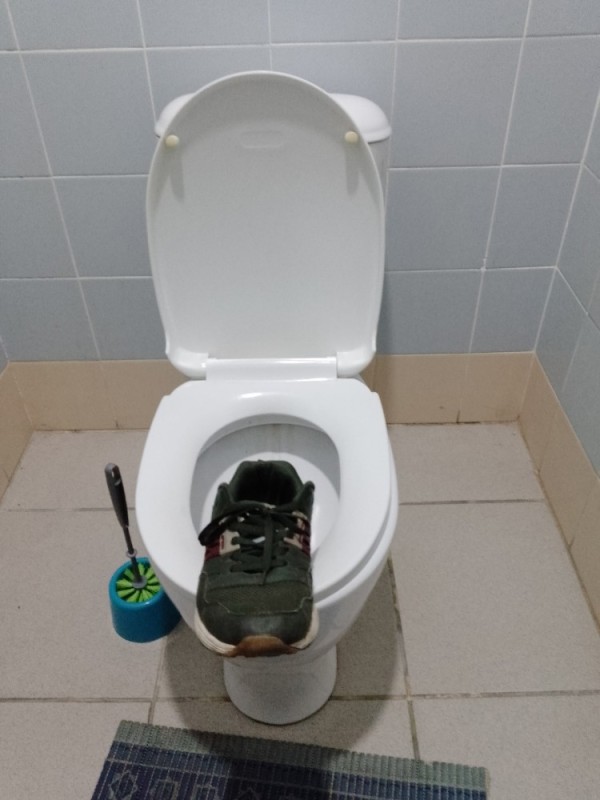 Create meme: toilet , american toilet, toilets 