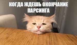 Создать мем: смешные коты, кот, коты мем