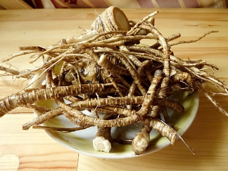 Create meme: angelica medicinal root, valerian root, dandelion medicinal root