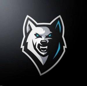 Create meme: clan wolf, the logo for the team, logo for the clan
