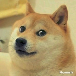 Create meme: doge, Shiba inu, Dog