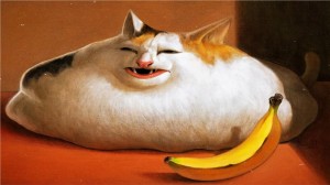 Create meme: cat fat, the cat and the banana