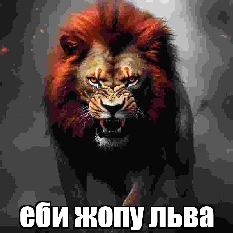 Создать мем: свирепый лев, lion, лев лев