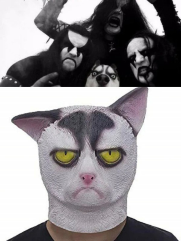 Create meme: mask , rubber mask, cat mask