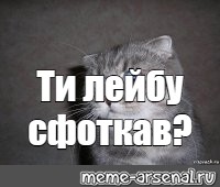 Создать мем: null