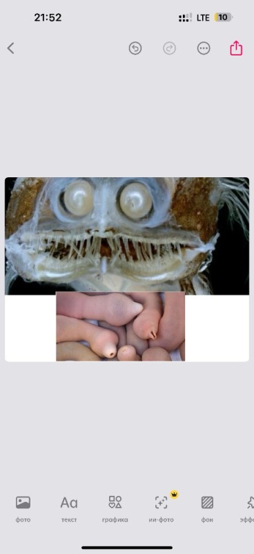 Create meme: predatory fish, angler fish, scary fish