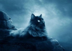 Create meme: cat, demonic cat, warrior cats