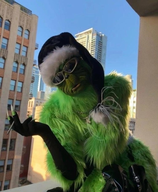 Create meme: stole Christmas, grinch the Thief of christmas movie 2018, cat 