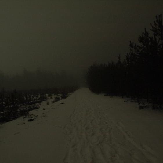 Create meme: gloomy winter, the landscape is gloomy, A gloomy dark forest