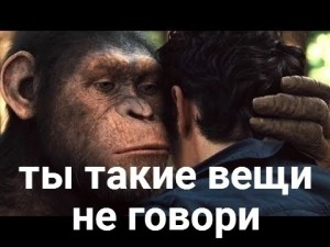 Create meme: monkey, monkey whispers in the ear of the planet of the apes, fun