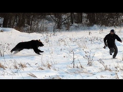 Create meme: hunter runs from the bear, bear 