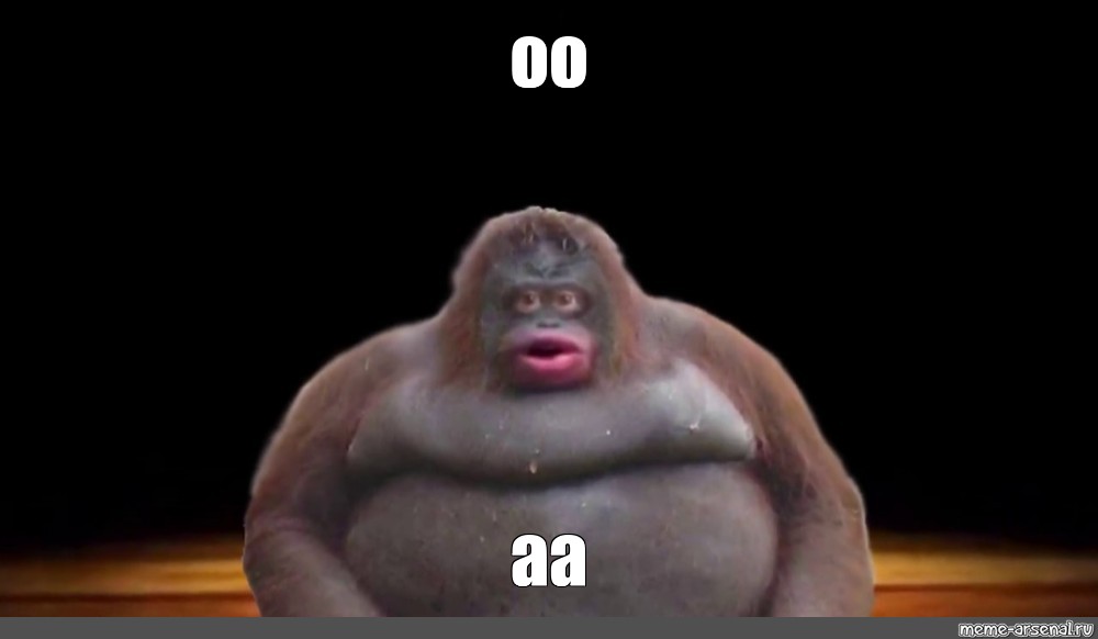 Мем: "oo aa", , monke,обезьяна uh oh stinky,толстая обезьяна,жирн...