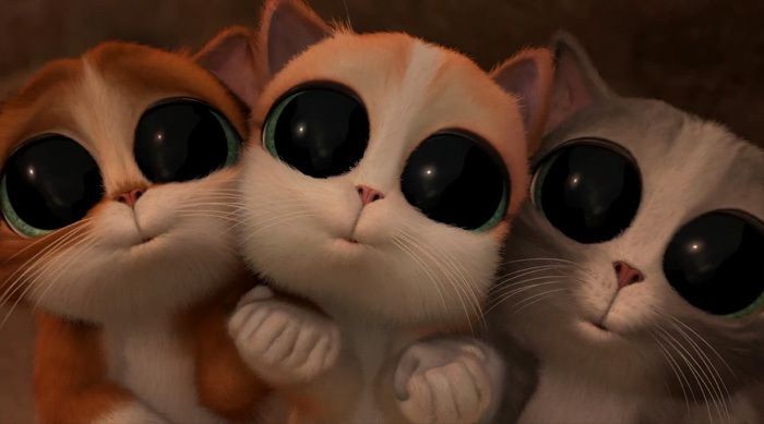 Create meme: the cat from Shrek with big eyes, the cat from Shrek, puss in boots cute eyes