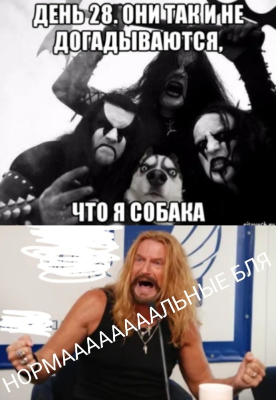 Create meme: black metal, Nikita Dzhigurda , Abbath of immortal