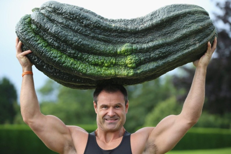 Create meme: giant vegetables, giant squash, giant cucumber