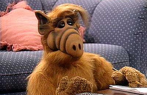Create meme: Alf , Alf TV series 1986, alf 
