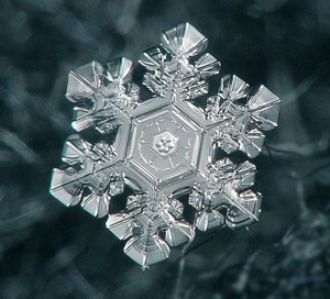 Создать мем: красивые снежинки, снежинки под микроскопом, макрофотографии снежинок