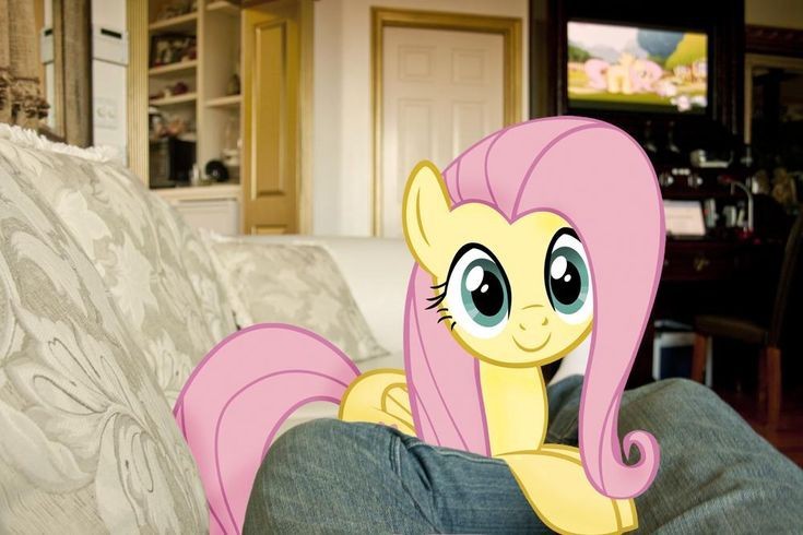 Create meme: fluttershy , fluttershy frames, fluttershy girl