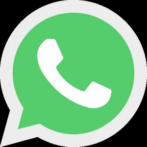 Создать мем: знак ватсап, whatsapp лого, ватсап png