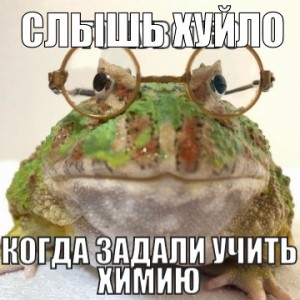 Создать мем: жаба и лягушка, жабы, мемы жаба