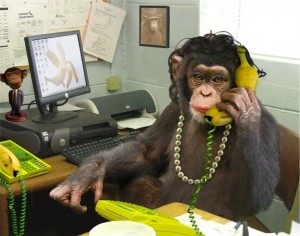 Создать мем: мартышка бухгалтер, обезьяна, накрашенная обезьяна в офисе