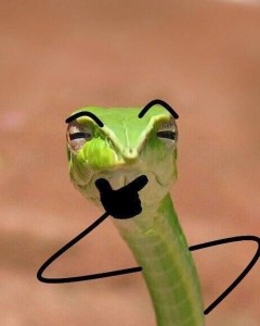 Создать мем: змейки с ручками, snake meme, змея