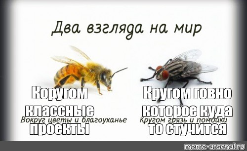 2 взгляда на мир