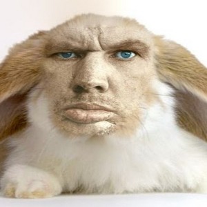 Create meme: valakas, valakas rabbit