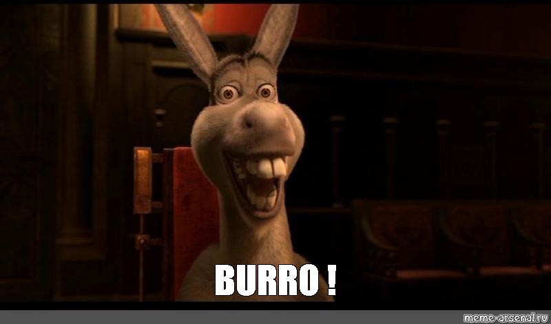 Meme: BURRO ! - All Templates 