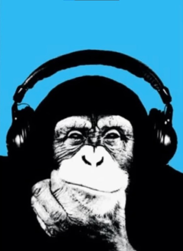 Create meme: Gorilla wearing headphones picture