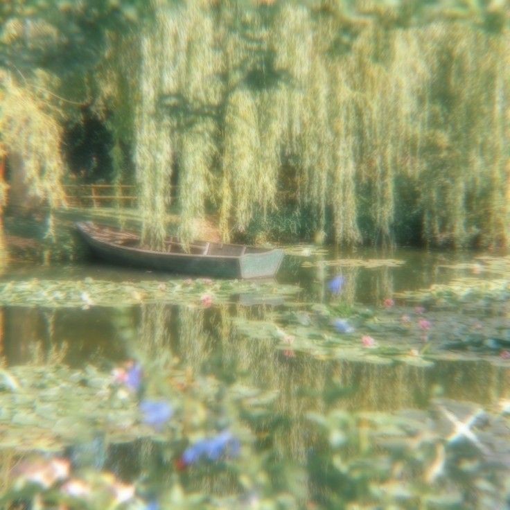 Create meme: Claude Monet village of Giverny, plant , 40 x 50