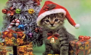 Создать мем: новогодний кот, новогодние котята, подарки игрушки