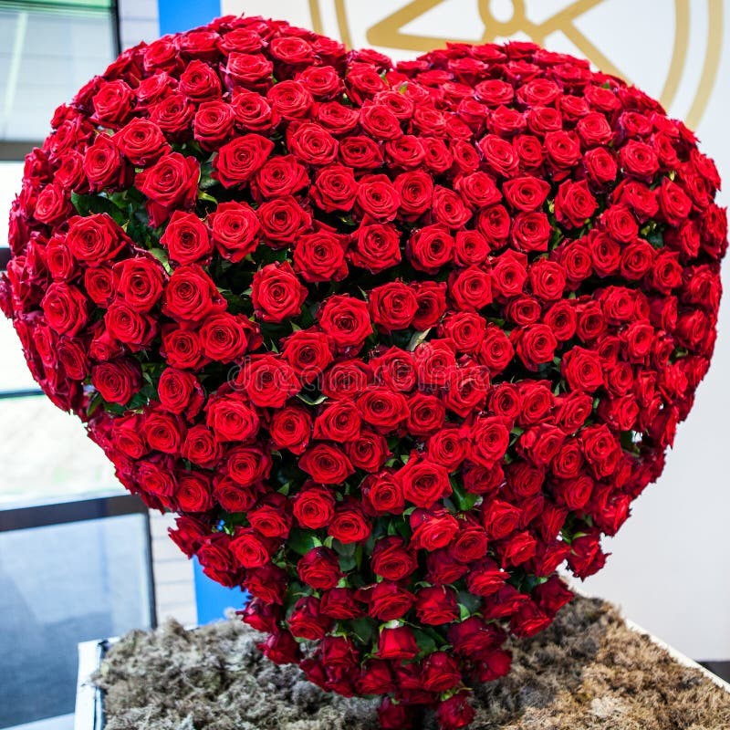 Create meme: million scarlet roses , bouquet rose heart, large bouquets of roses