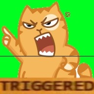 Create meme: stickers peach, angry cat sticker, vulgar stickers with the cat