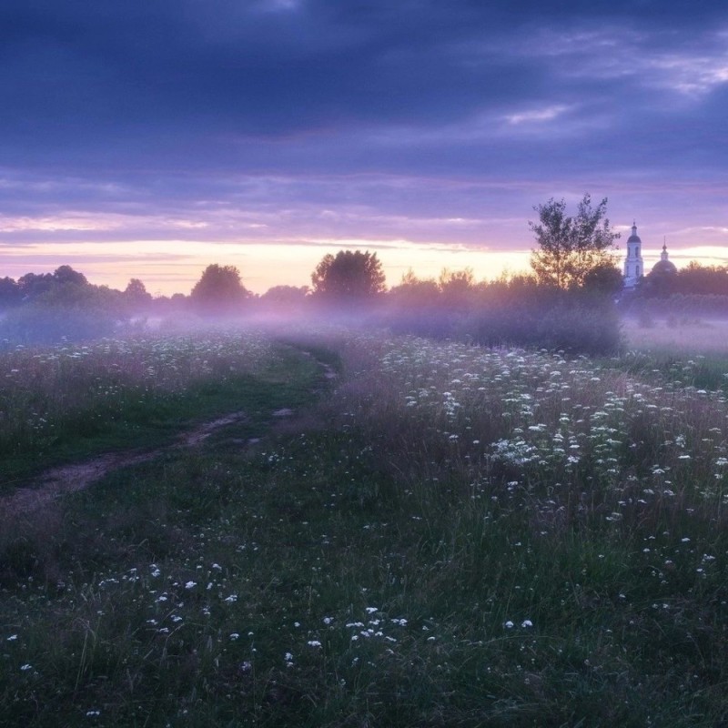 Create meme: meadow at dawn, morning landscape, landscapes dawn